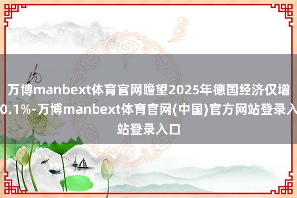 万博manbext体育官网瞻望2025年德国经济仅增长0.1%-万博manbext体育官网(中国)官方网站登录入口