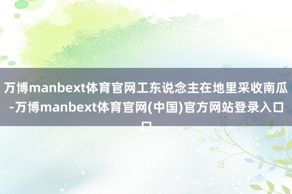 万博manbext体育官网工东说念主在地里采收南瓜-万博manbext体育官网(中国)官方网站登录入口