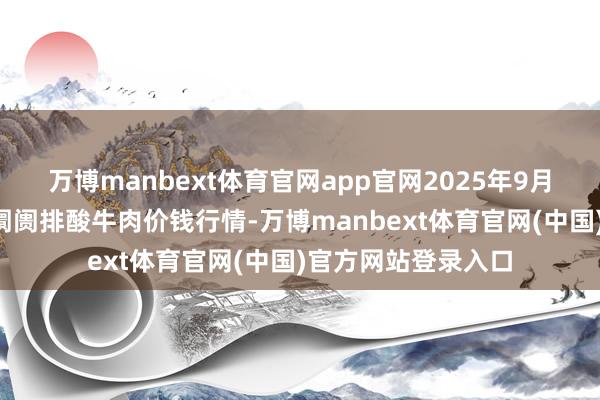 万博manbext体育官网app官网2025年9月5日寰宇主要批发阛阓排酸牛肉价钱行情-万博manbext体育官网(中国)官方网站登录入口