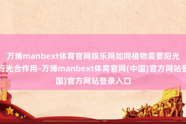 万博manbext体育官网娱乐网如同植物需要阳光才智进行光合作用-万博manbext体育官网(中国)官方网站登录入口