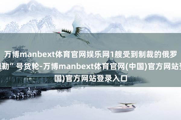 万博manbext体育官网娱乐网1艘受到制裁的俄罗斯“阿德勒”号货轮-万博manbext体育官网(中国)官方网站登录入口